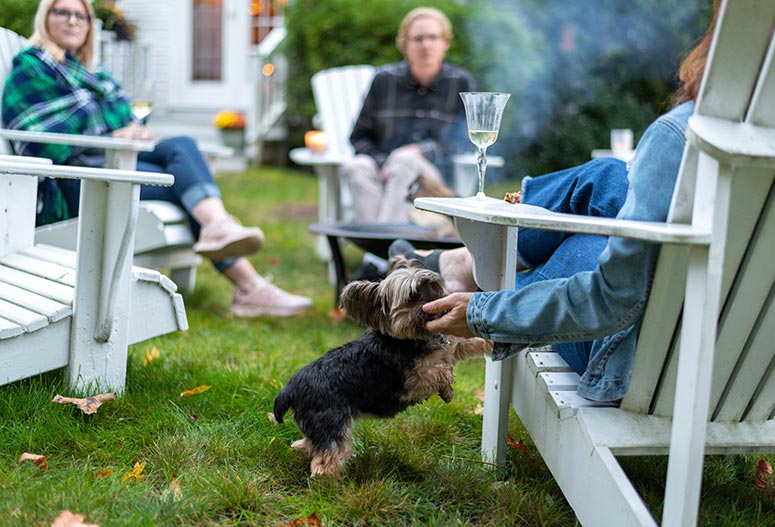 Kennebunkport, ME the Waldo Emerson Inn a pet friendly b&b. Small terrier getting petted from guests sitting in white Adirondack chairs.