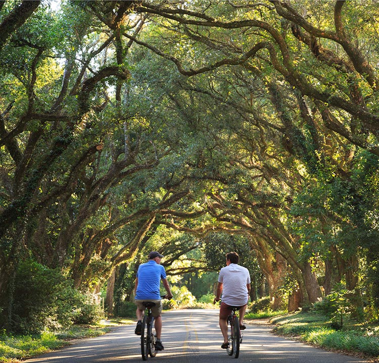 Two cyclists on road