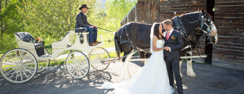 Colorado Wedding Venue, bride and groom standing by a horse drawn carriage in Colorado