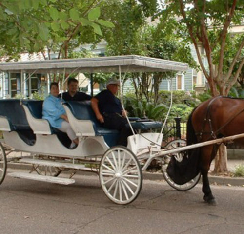 Natchez horse drawn carriage rides