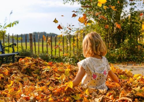 Child Jumping in a Pile of Leaves